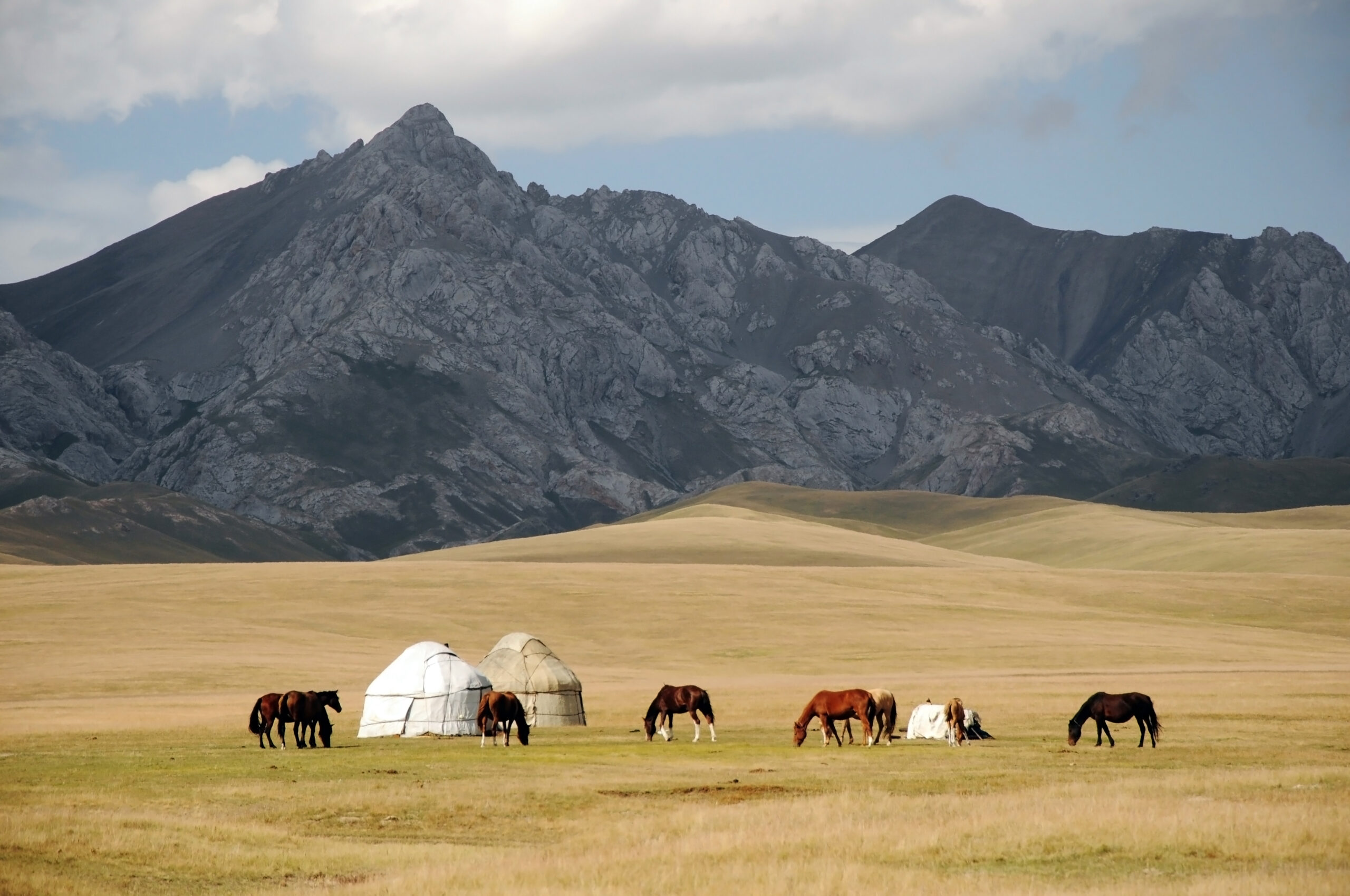 Shepherds Yurt tent with horses, Kyrgyzstan mountain scenery